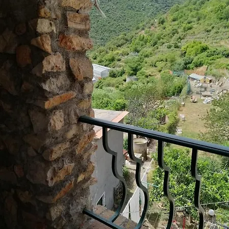 La Casa Dell'elleboro
